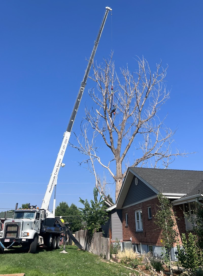Colorado Premier Tree Care cover image