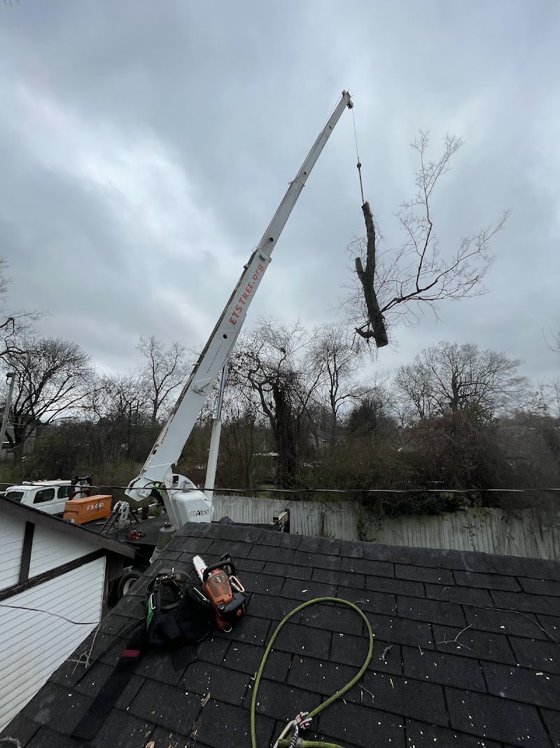 The Arborist cover image