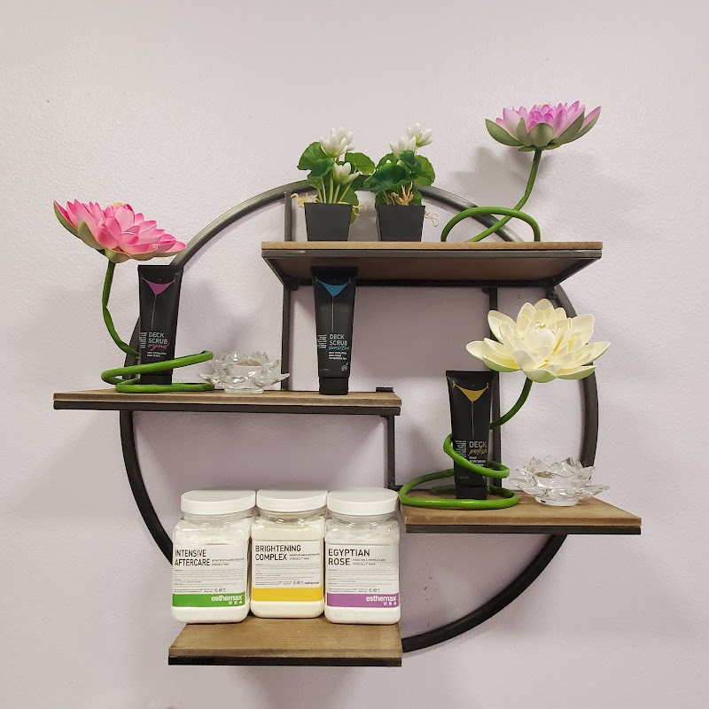 Pure Lotus cover image