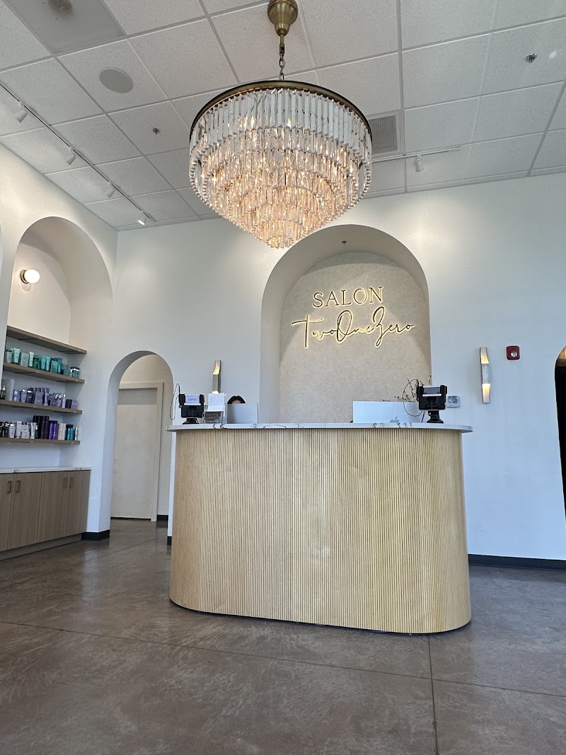 Salon Two One Zero cover image