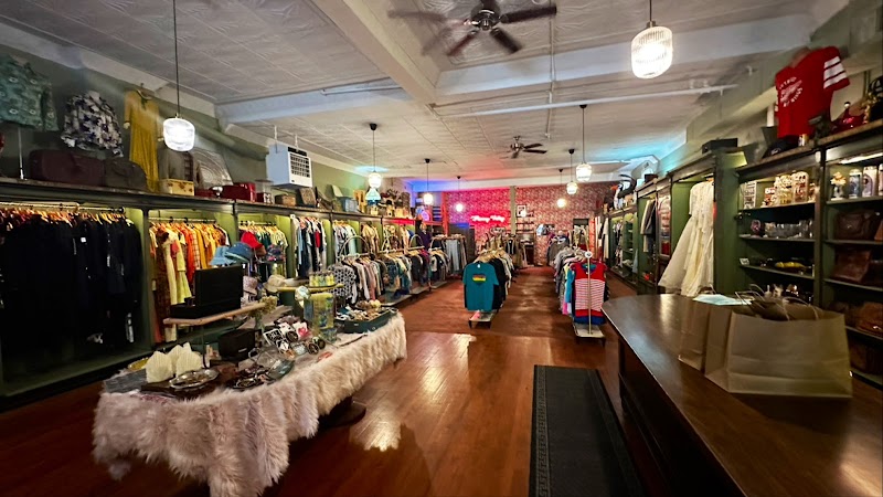 Flamingo Vintage cover image