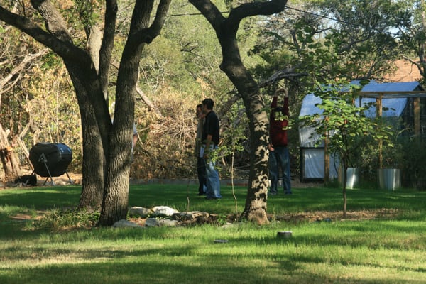 Sid Mourning Tree Service cover image