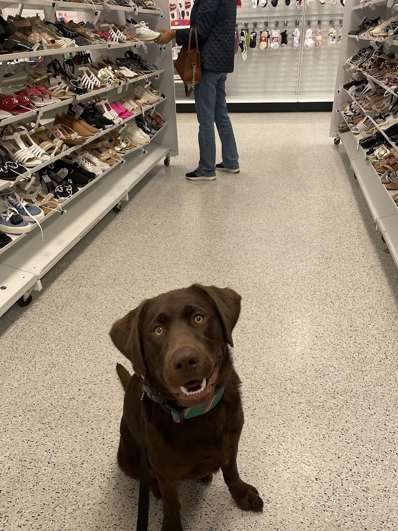 Pack Perfect K9 Training cover image