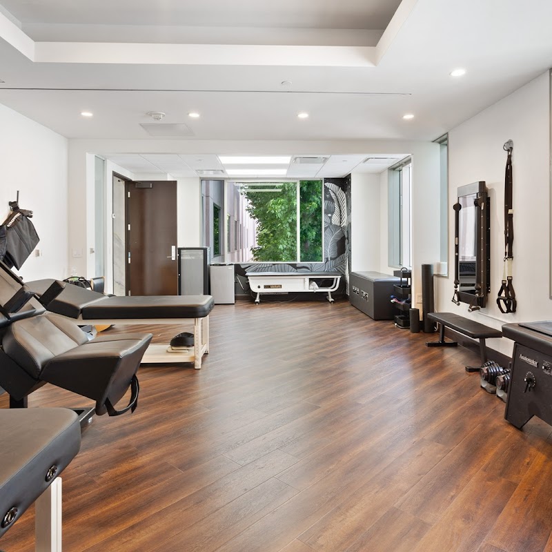 The Chiro Guy Chiropractic and Wellness Center cover image