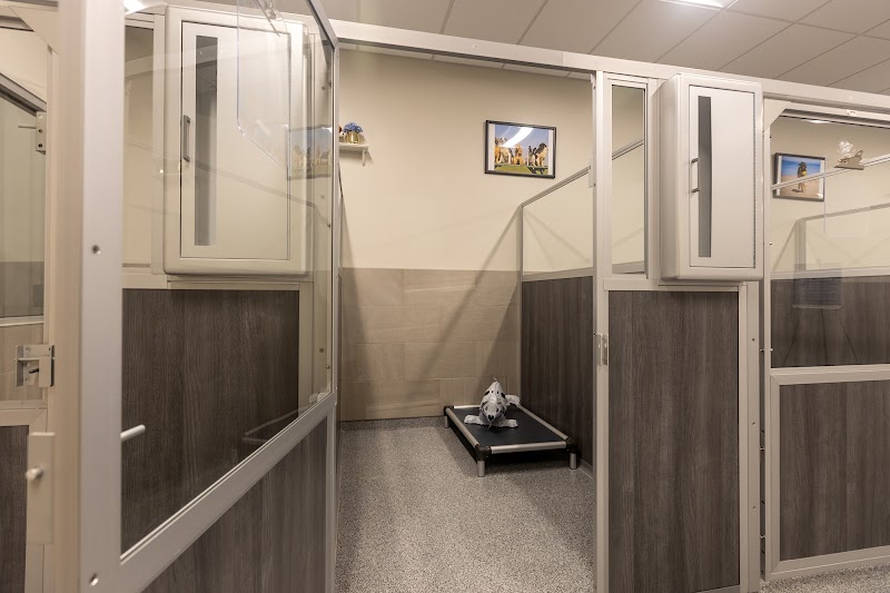 K9 Resorts Luxury Pet Hotel Virginia Beach cover image