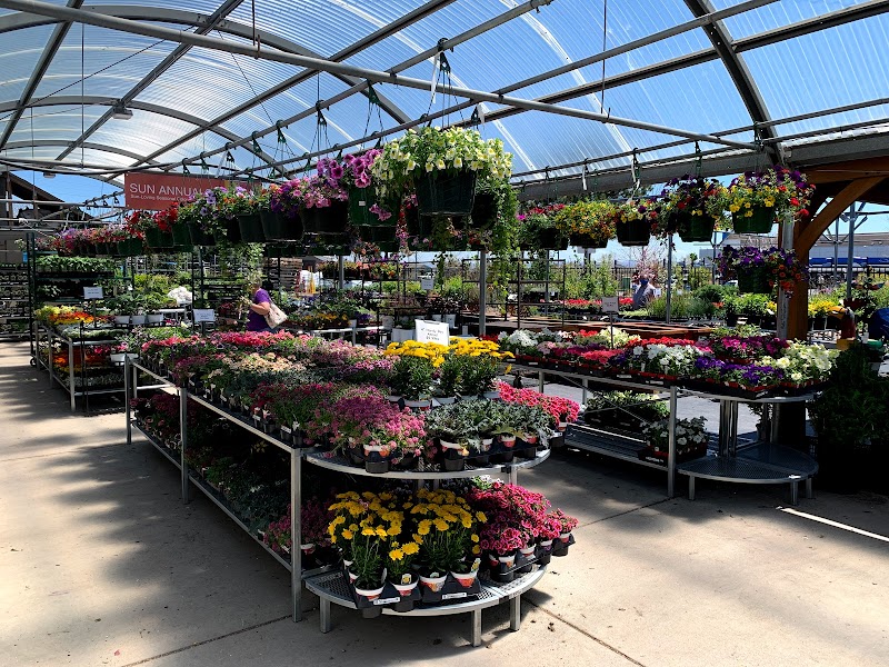 Hilltop Gardens cover image