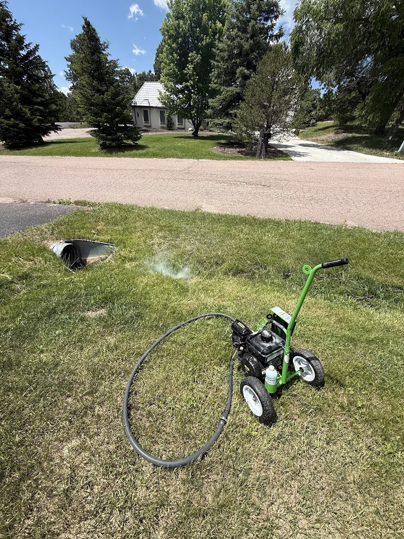 King Pest Solutions cover image