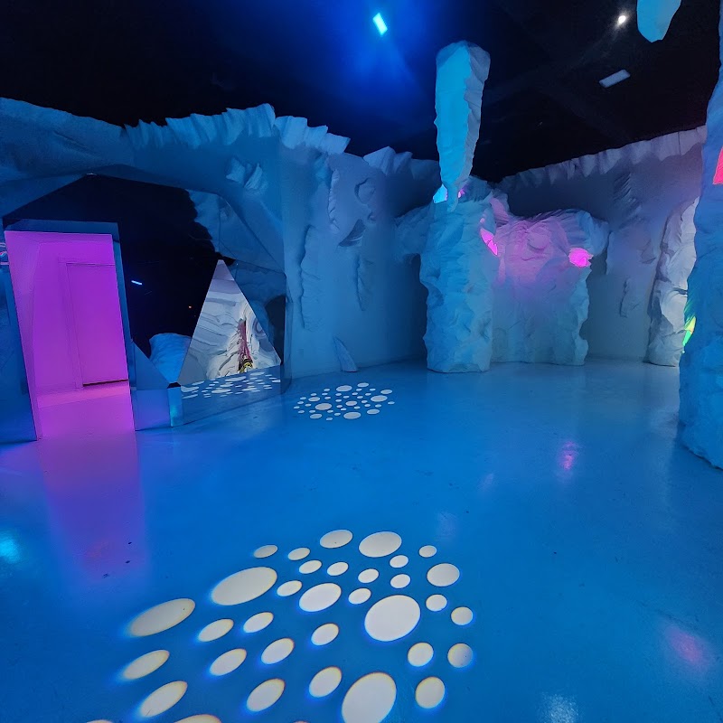 Wonder Chamber cover image