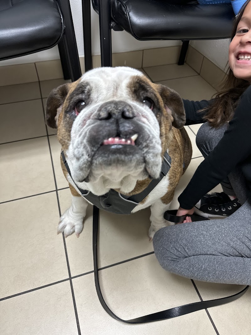 West Phoenix Veterinary Hospital cover image