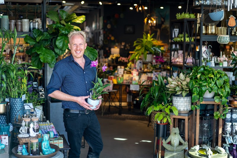 Datura Home Central Park cover image