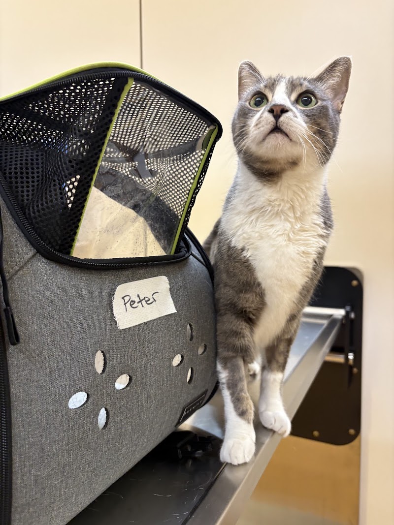 PetNation Animal Hospital cover