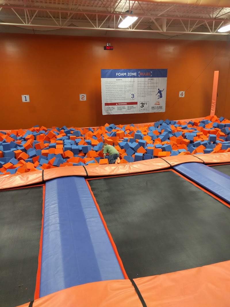 Sky Zone Trampoline Park cover image