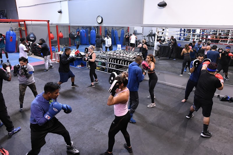 San Diego Combat Academy | East County San Diego Jiu Jitsu - Boxing - Kickboxing cover image