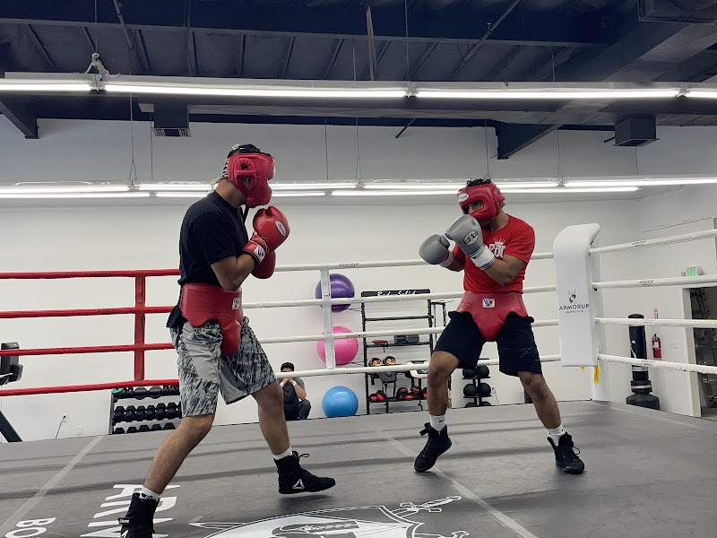 ArmorUp Boxing Club cover image