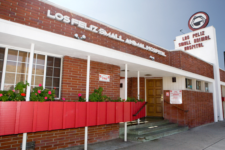 Los Feliz Small Animal Hospital cover image