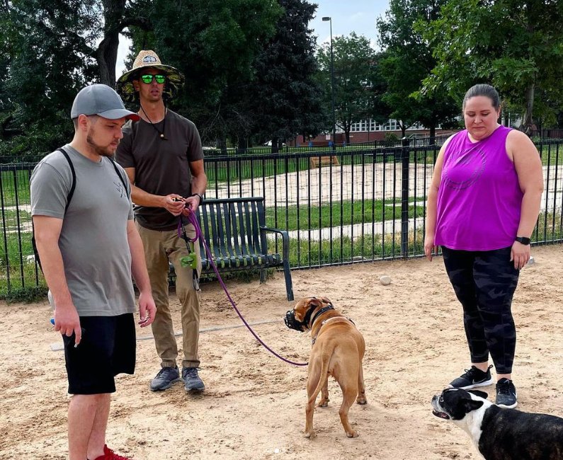 Chill Out Dog Training cover