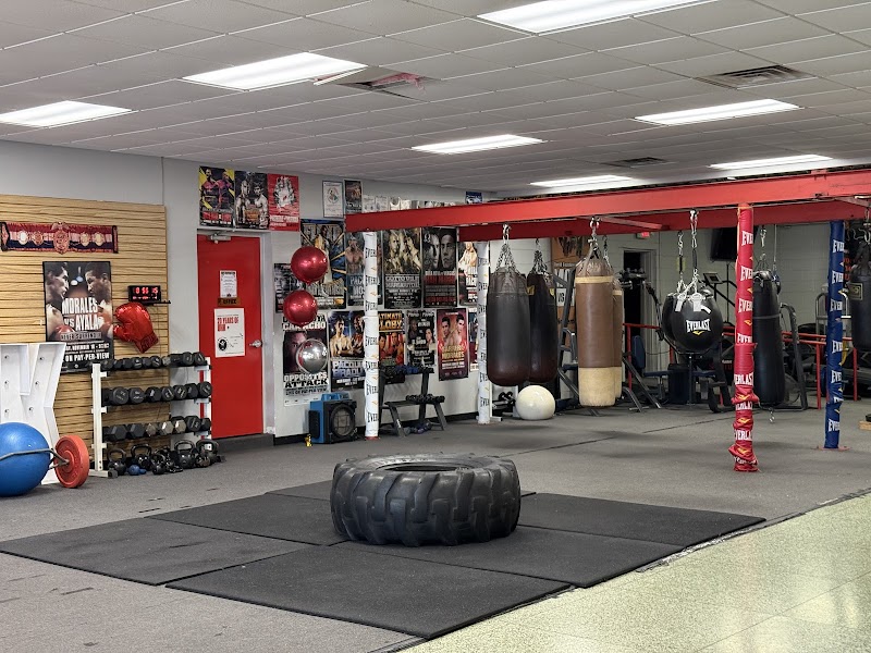 Paulie Ayala's University Of Hard Knocks cover image