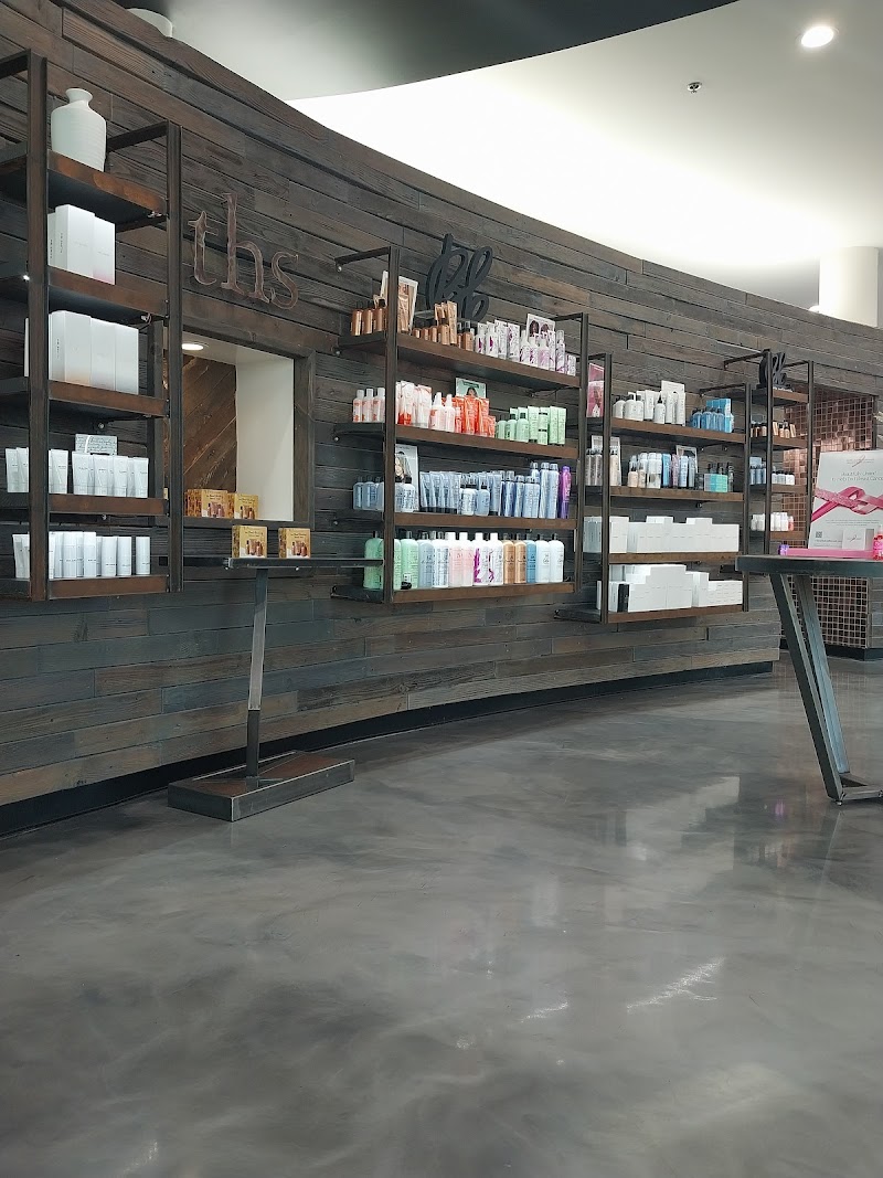 The Hair Standard cover image