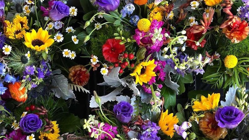 CDdesigns Florist cover image