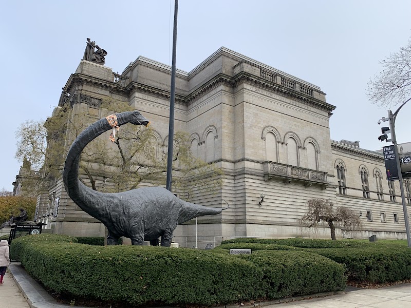 Carnegie Museum of Natural History cover image