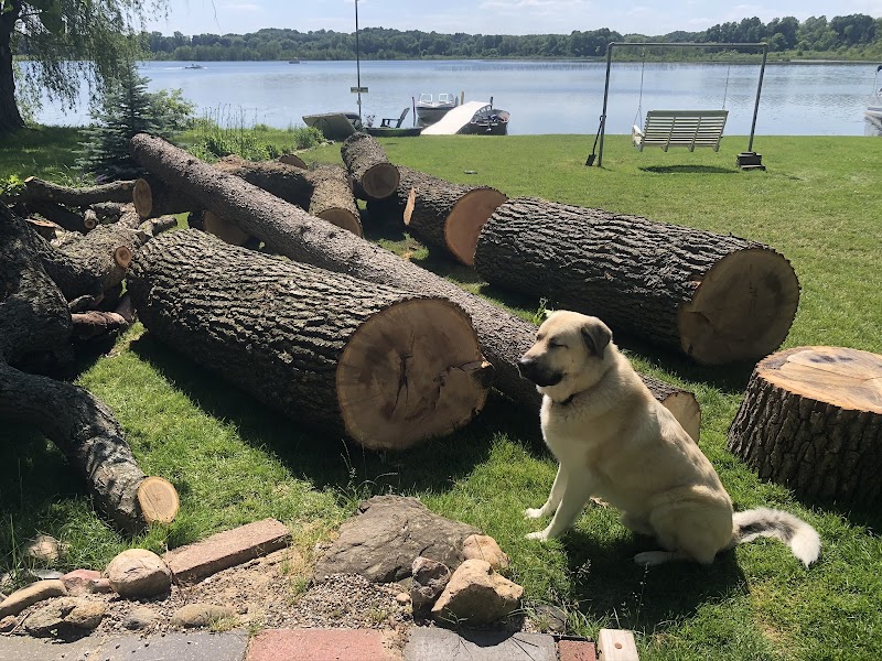 Heartwood Tree Care cover