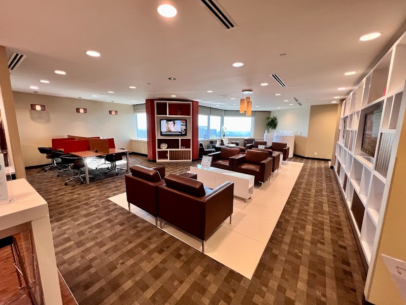 SelexWeb – Website Design & Development cover image