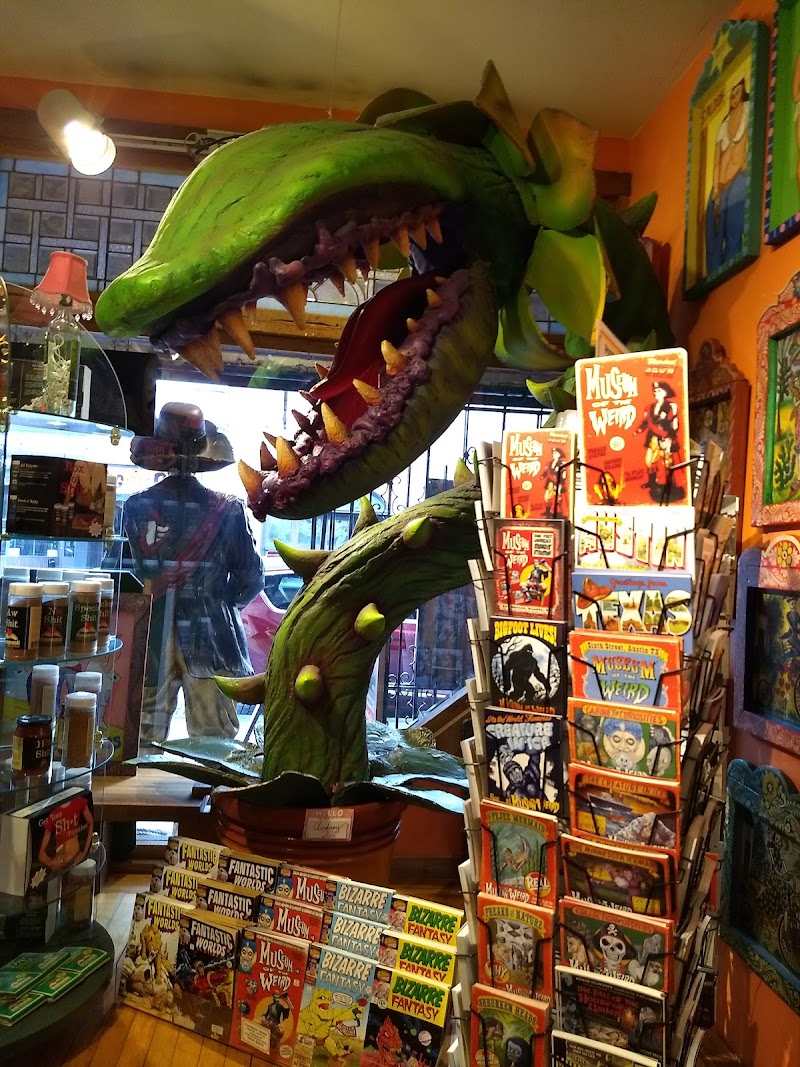 Lucky Lizard Curios & Gifts cover image