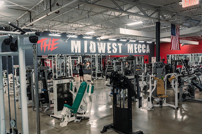 American Muscle Factory cover image