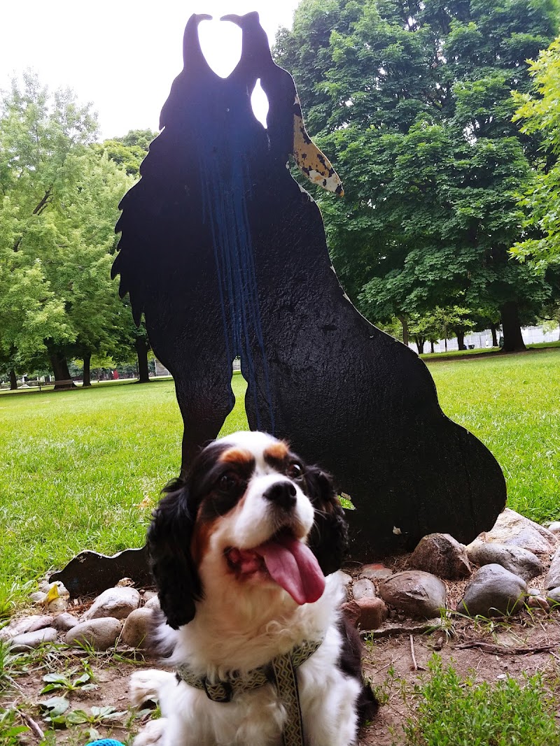 Paws4life petsitting cover image