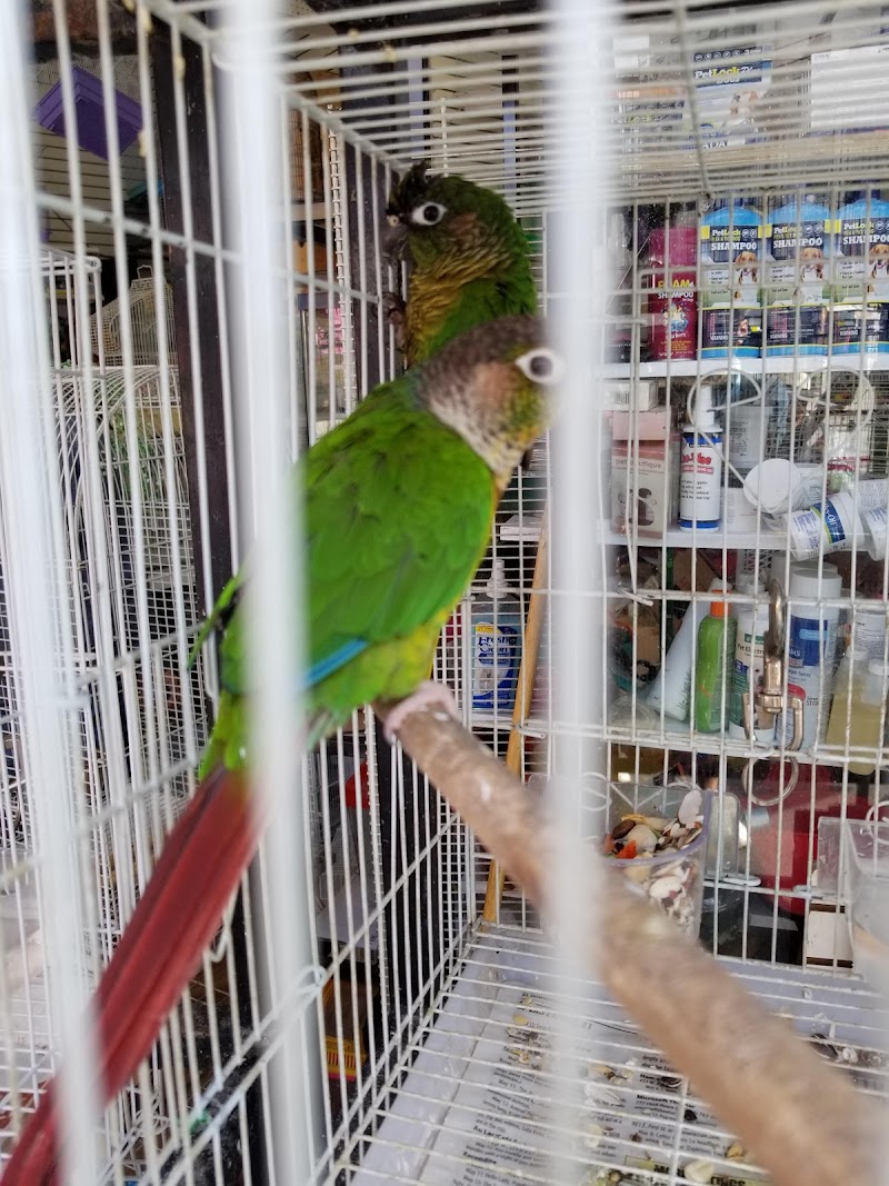 Al's Pets and Supplies cover image