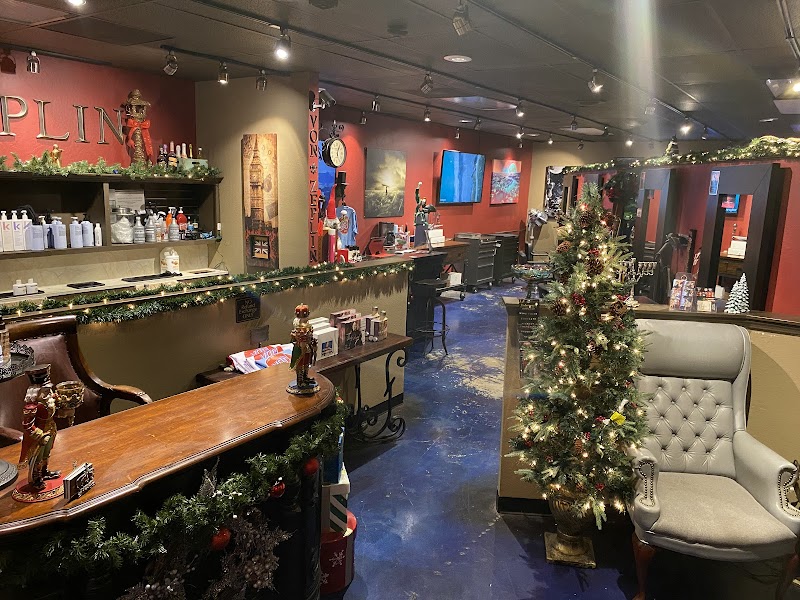 VON ZEPLIN ULTRA HAIR SALON cover image