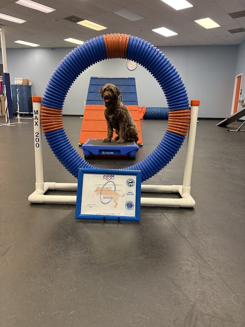 Zoom Room Dog Training cover image