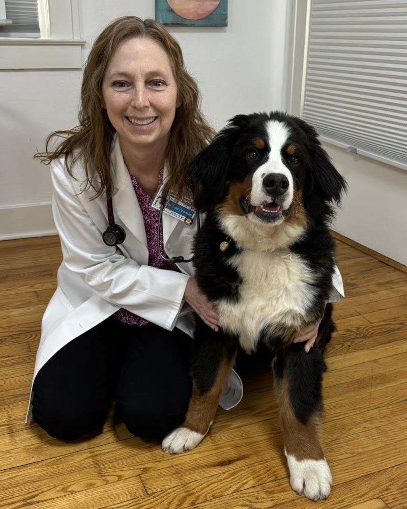 Broad Ripple Animal Clinic cover image