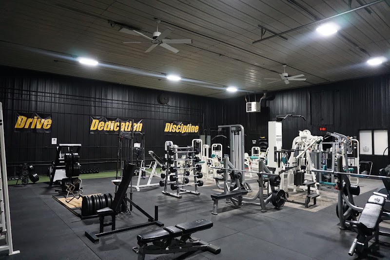 3D Fitness cover image