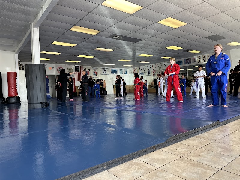 Han's Oriental Martial Arts cover image