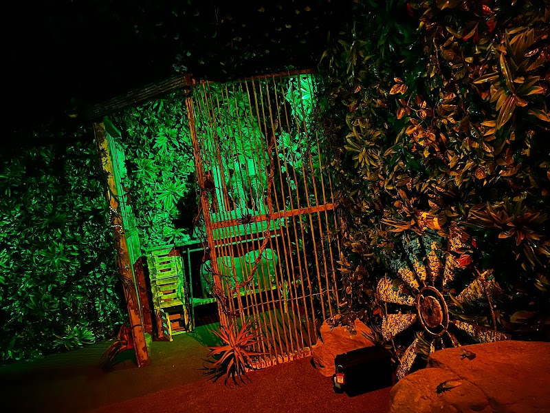 Operation Outbreak: El Paso Escape Game cover image