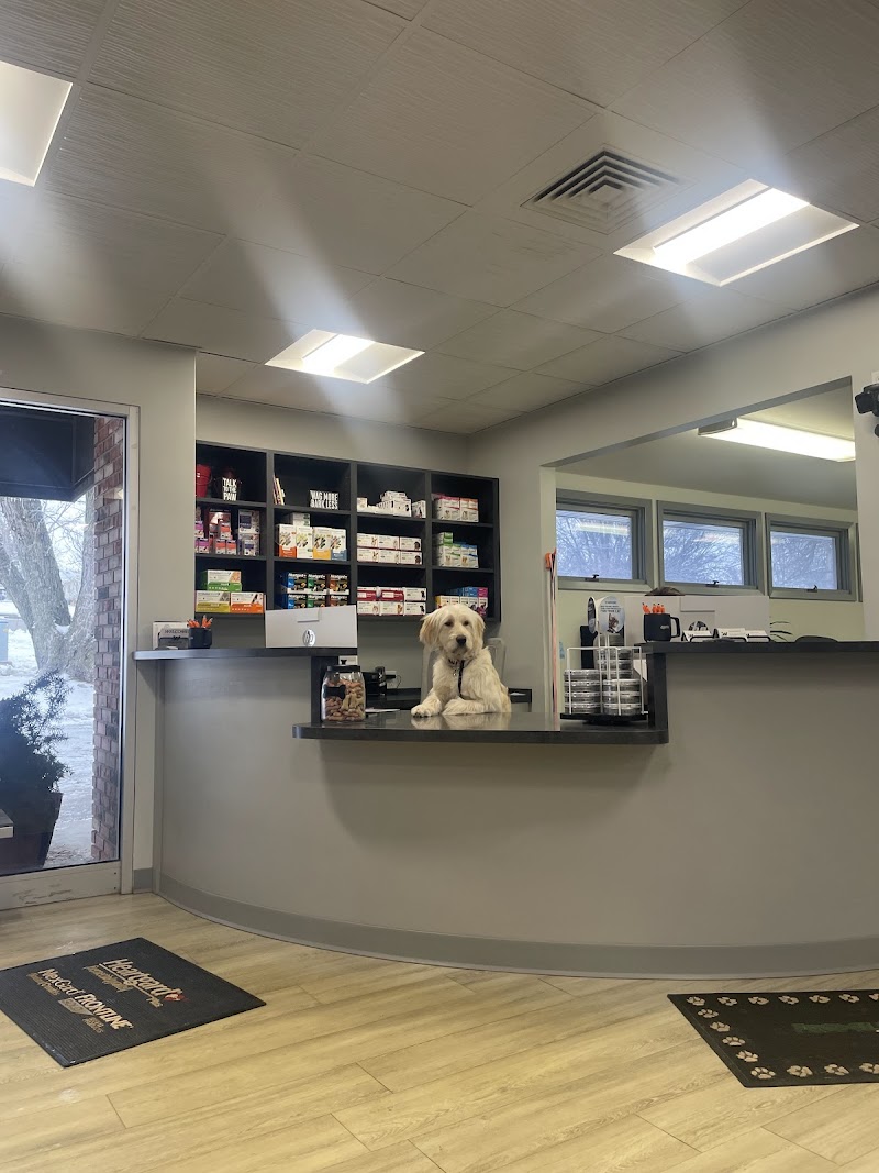 Westgate Animal Clinic cover image