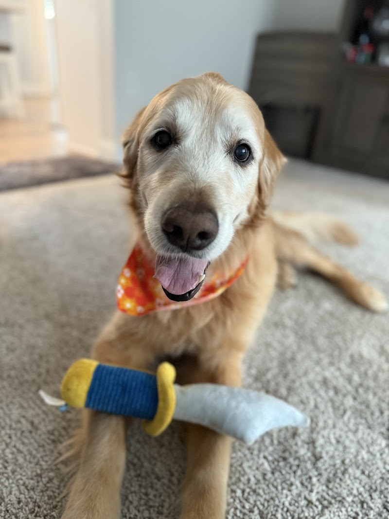 East Suburban Animal Clinic cover image