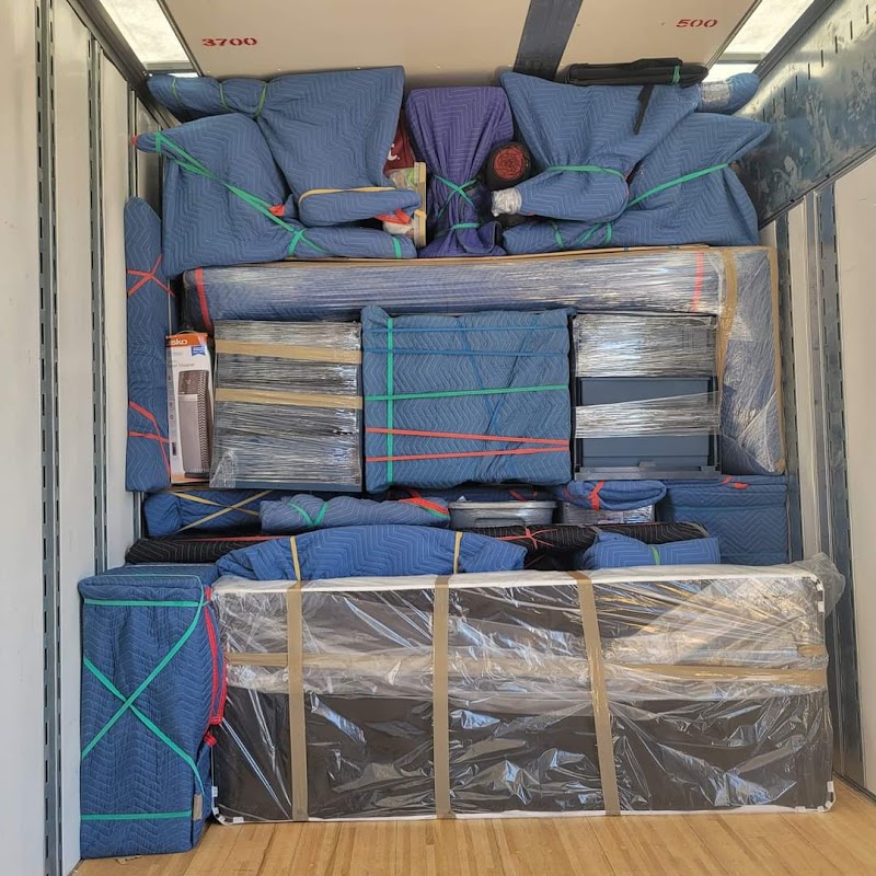 Pro Touch Movers cover image