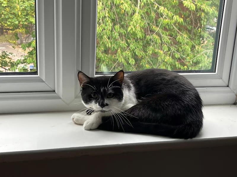 Purr & Stay Cattery cover image