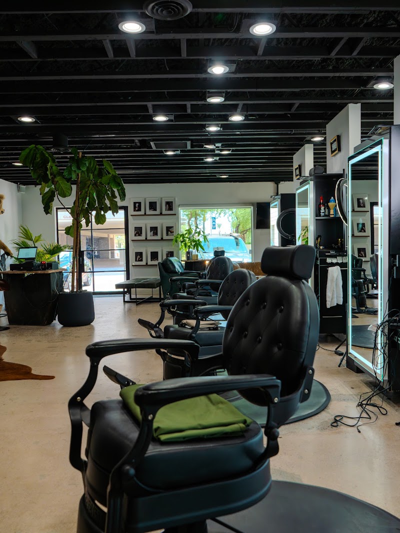 FIRST & MANE cover image