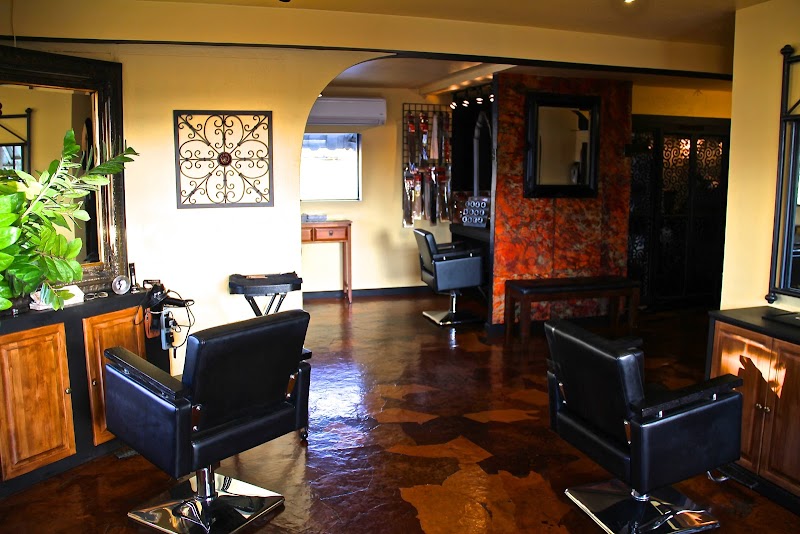 Sanctuary Salon cover image