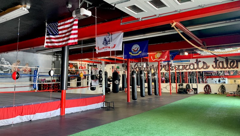 STC Boxing & Fitness cover image