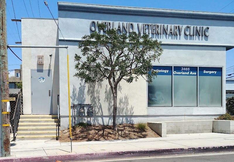 Overland Veterinary Clinic cover image