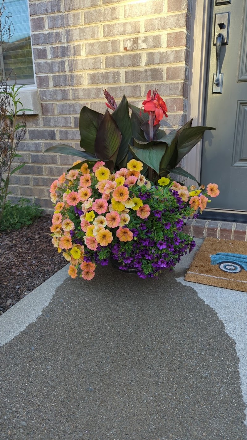 Sunshine Grow Shop cover image