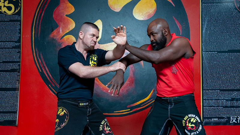Tampa Wing Chun Kung Fu, Martial Arts and Self-Defense cover image