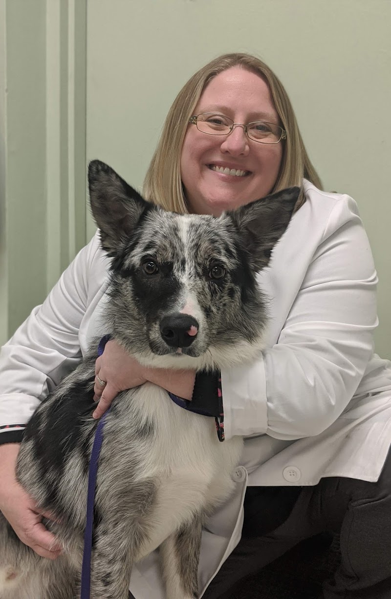 Emerald Animal Hospital cover image