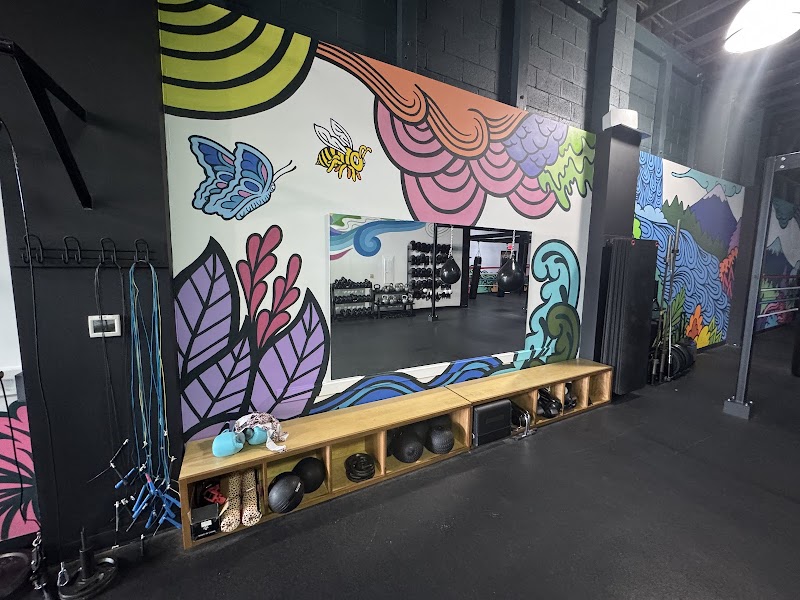 Swing State Boxing Club cover image