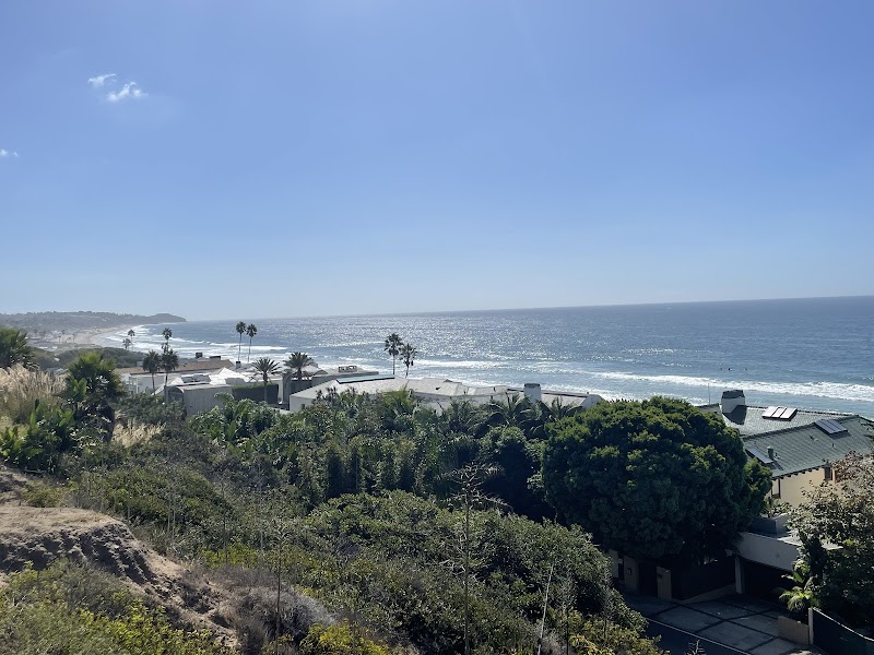 Surf City Tours cover image