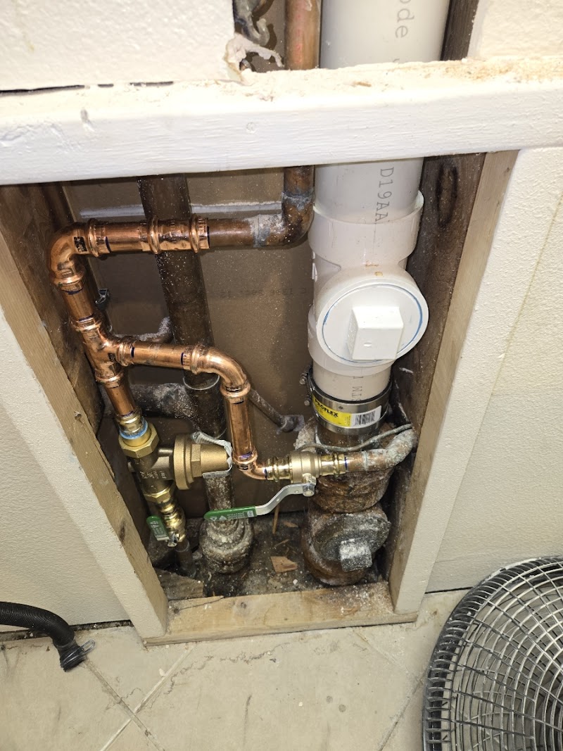 Drain Terrier cover image